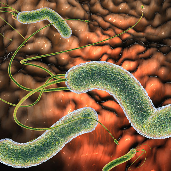 Helicobacter pylori 7-denní jídelníček: Co (ne)jíst?